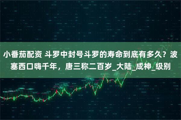 小番茄配资 斗罗中封号斗罗的寿命到底有多久？波塞西口嗨千年，唐三称二百岁_大陆_成神_级别