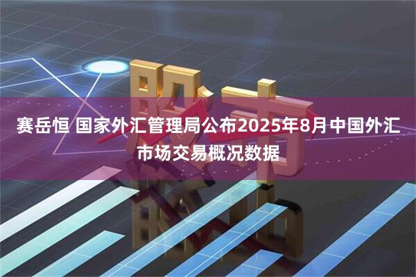 赛岳恒 国家外汇管理局公布2025年8月中国外汇市场交易概况数据