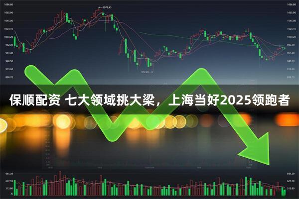 保顺配资 七大领域挑大梁，上海当好2025领跑者