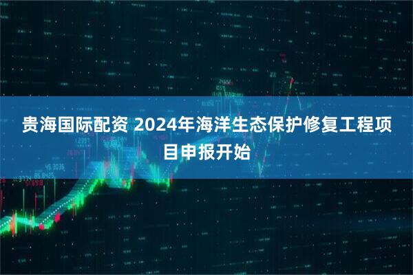 贵海国际配资 2024年海洋生态保护修复工程项目申报开始